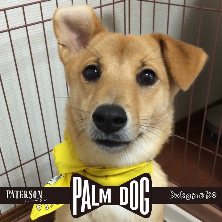 159d1bbf 3624 41ce 82c2 1200c28e2a90