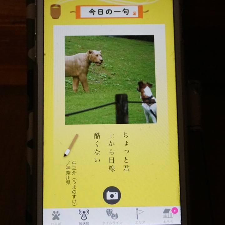 159d4083 22db 49cf aaee a1f9f03dcb1b