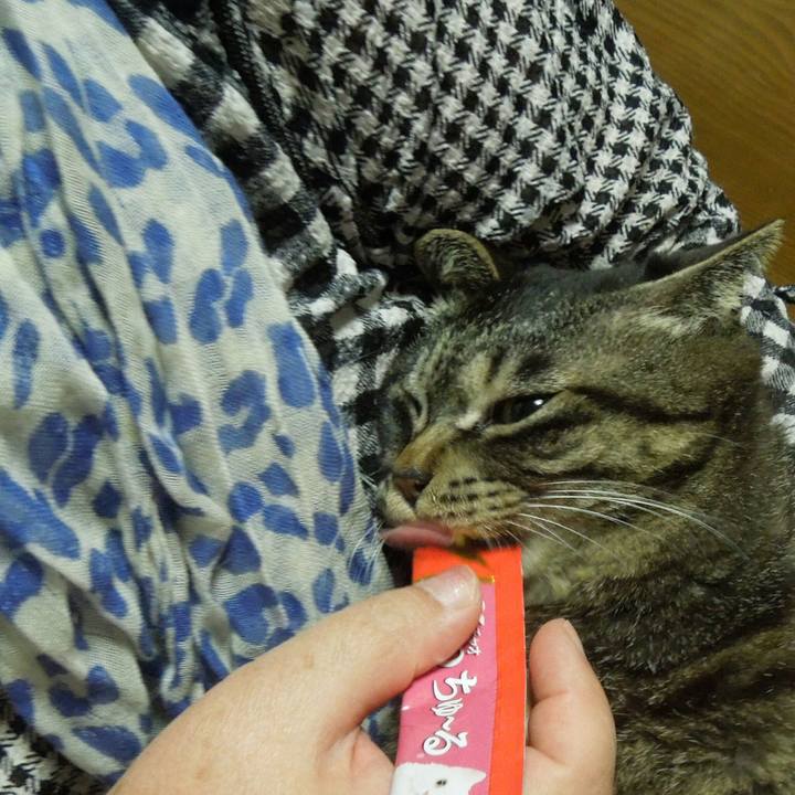 159dab3b 31af 42d7 b8dc 25cd5cc9c34f