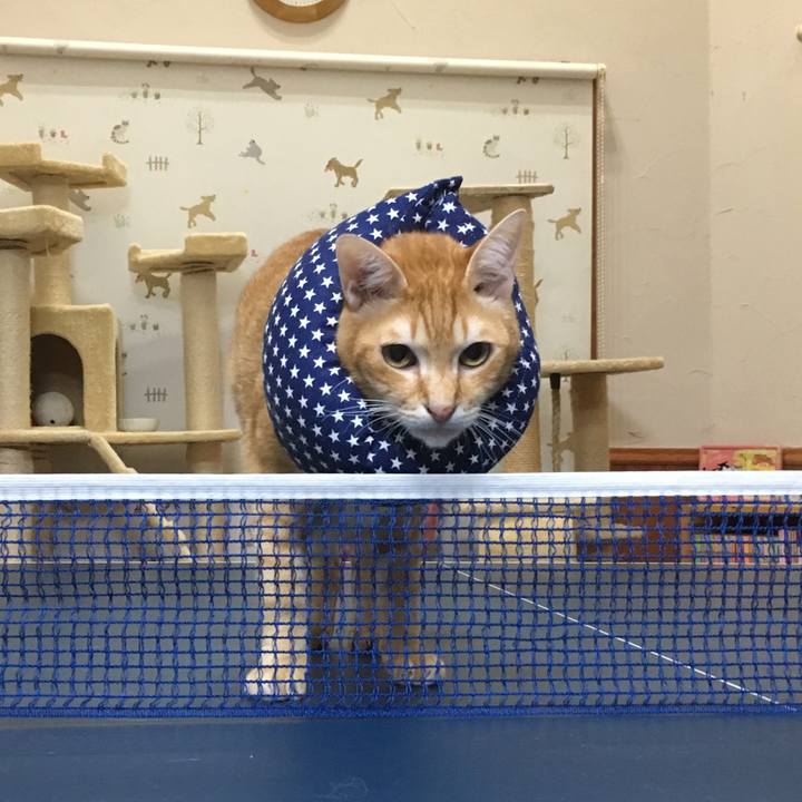 159dd6a9 cd43 4ae9 8cf7 c9cff4235b8f