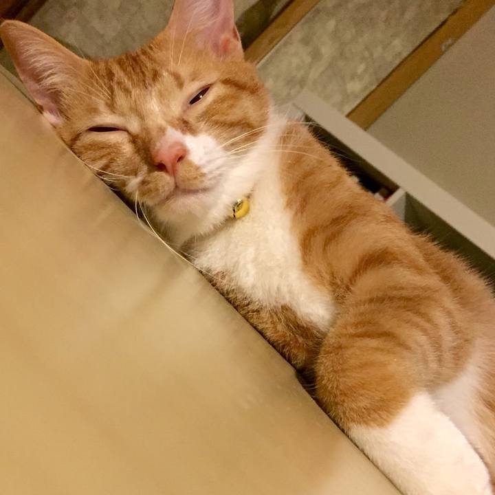 159df44c 5ac8 468f 8077 622fe0489fba