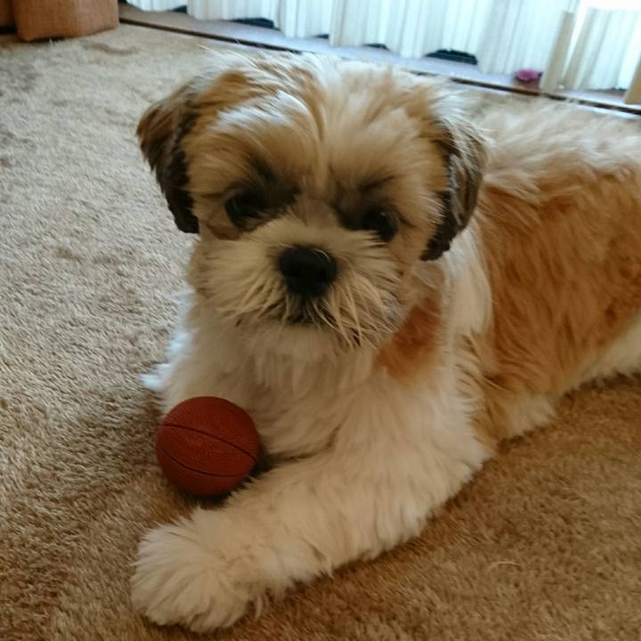 159e59cb b73c 48bd a206 3f76f1efad44