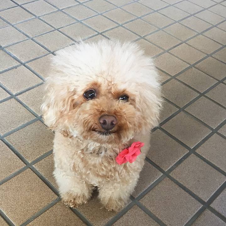 159e719c e0f1 4d4d 834d 3e4b5fdfa0ce