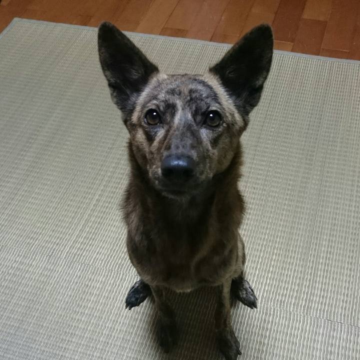 159f2a21 8fb7 4781 a305 24104f01a6e2