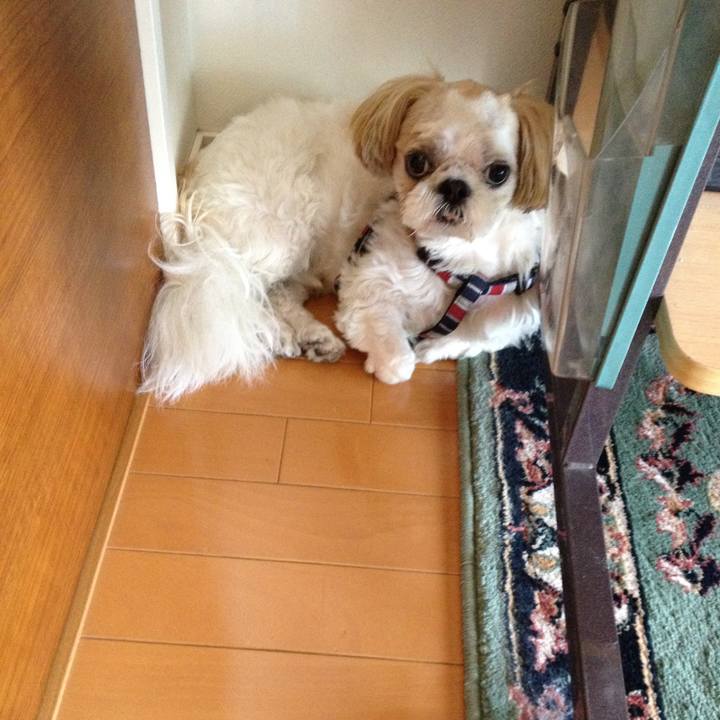 159f94e4 8674 4205 b19a df9bea8e6f5e