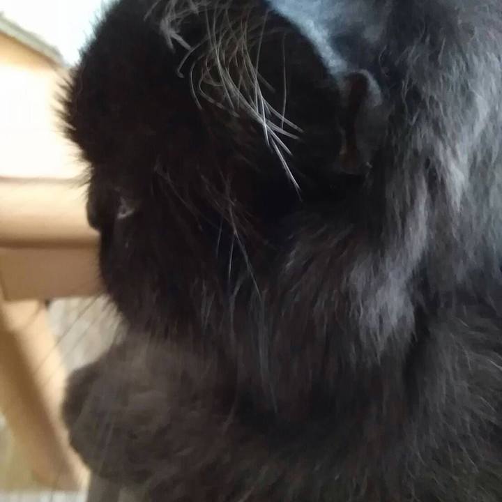 159ff54f fdaf 4fef ac04 f1aed1b7ebeb