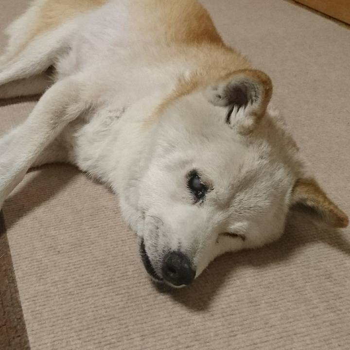 15a01928 8c7a 43ec b07a 12144b4de5f1