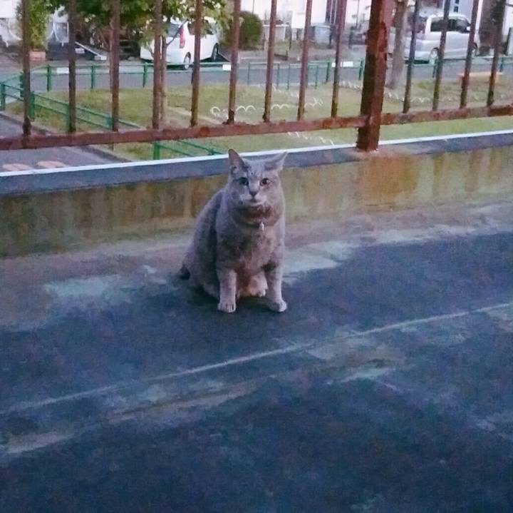 15a01cd6 e0c2 4b91 a41c bd373121939f