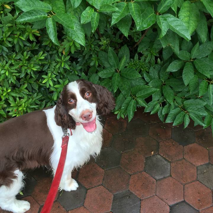 15a0ca40 3e0a 4644 9e18 b6eeb4f2e843