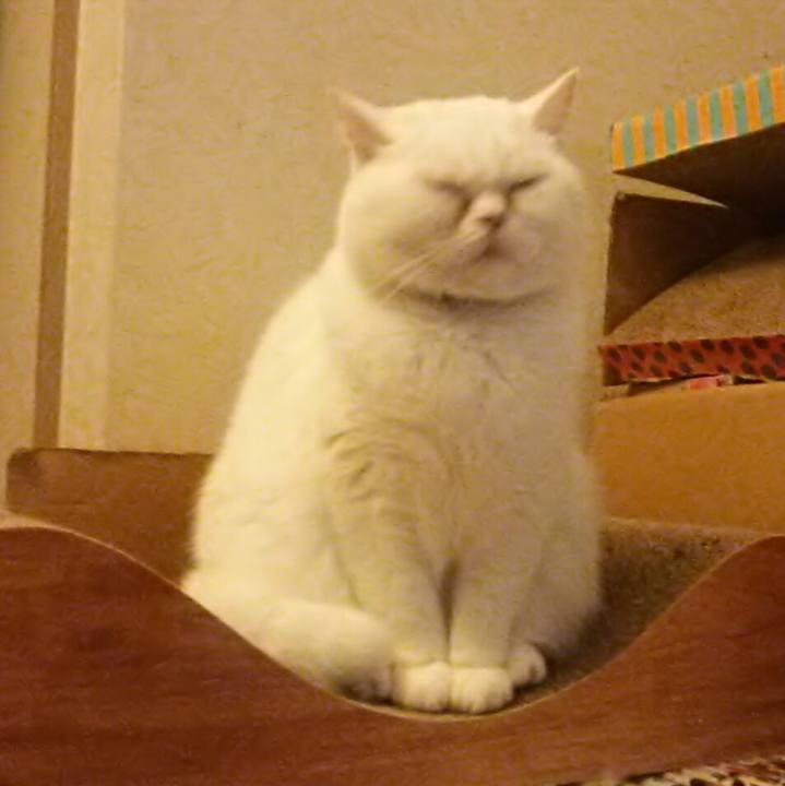 15a0e636 375d 4225 b3cd 649a55e81690