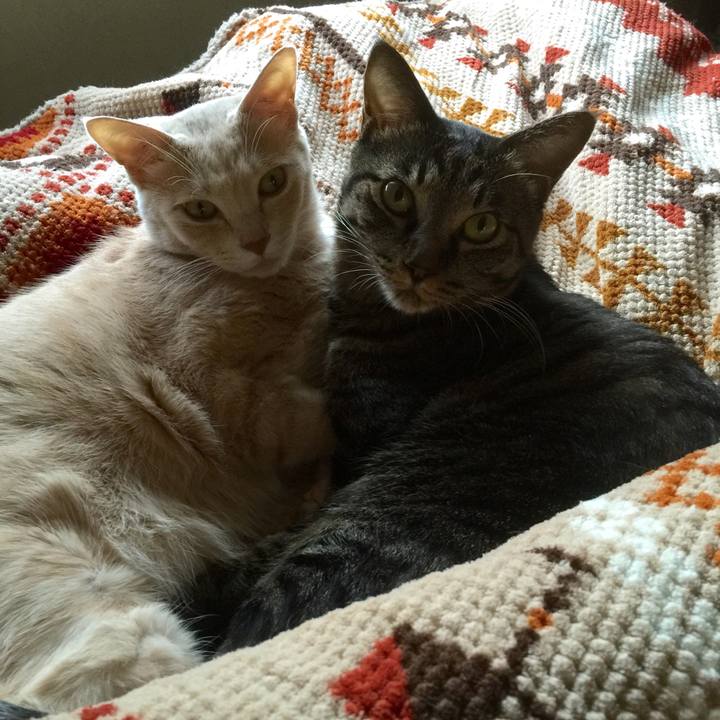 15a197df 31c2 4fea bf0f 130b67be3886