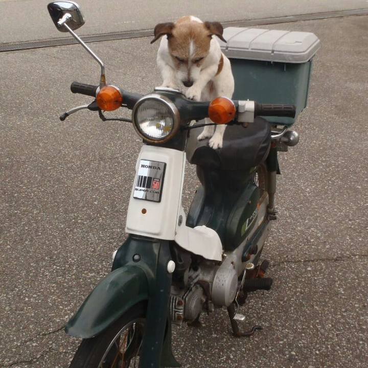 15a1d3d4 1ab0 473a 956d 7a29c3c159ae