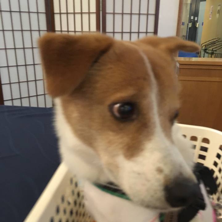 15a1fee2 ff07 4b79 9b40 000d8297adeb