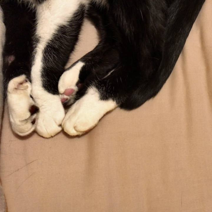 15a273fa 14cb 46ab a9e3 e987ddc64e35