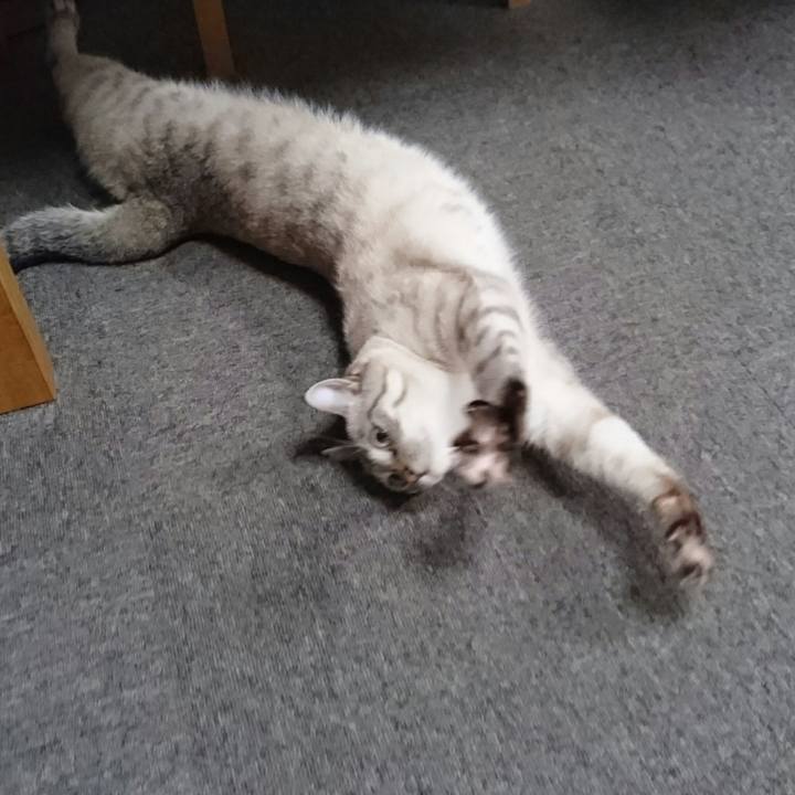 15a33efa 0d89 4a95 ab9a 7a560c3033a4