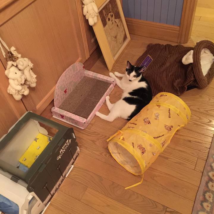 15a378a6 0295 4592 9123 909c75fb7e91