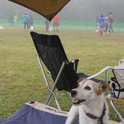 15a3bac7 35c6 4a8a ada8 c93e9872178e