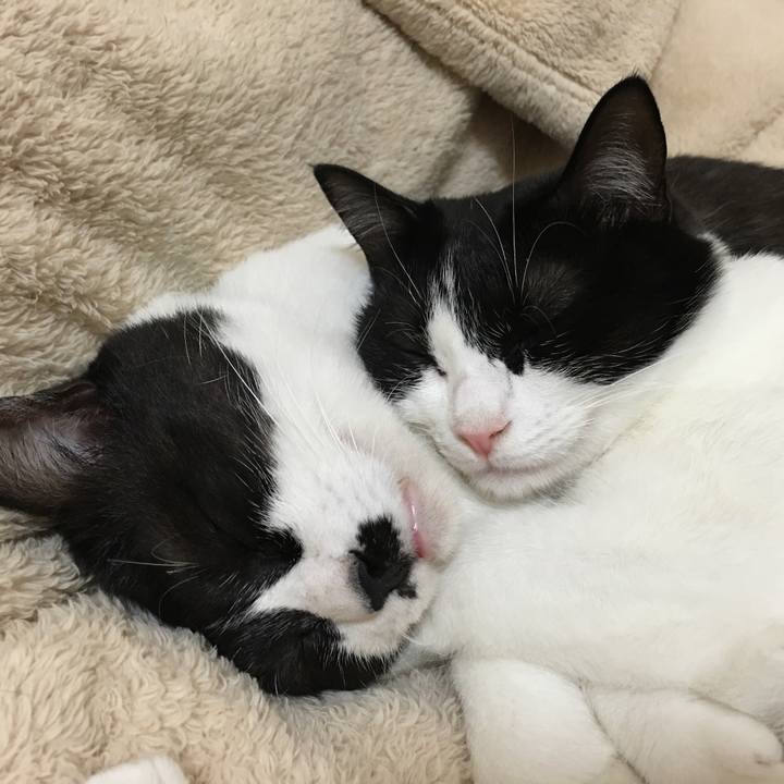 15a3dc9e 576a 47ef 973b 3dabd5a69809