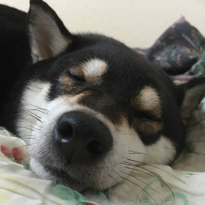 15a40b6b 9118 40f6 ae95 52efb1cb0fca