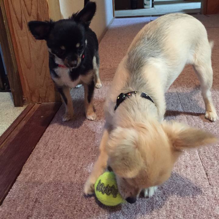 15a482c4 310e 42cc a8a6 2c40d09e7c89