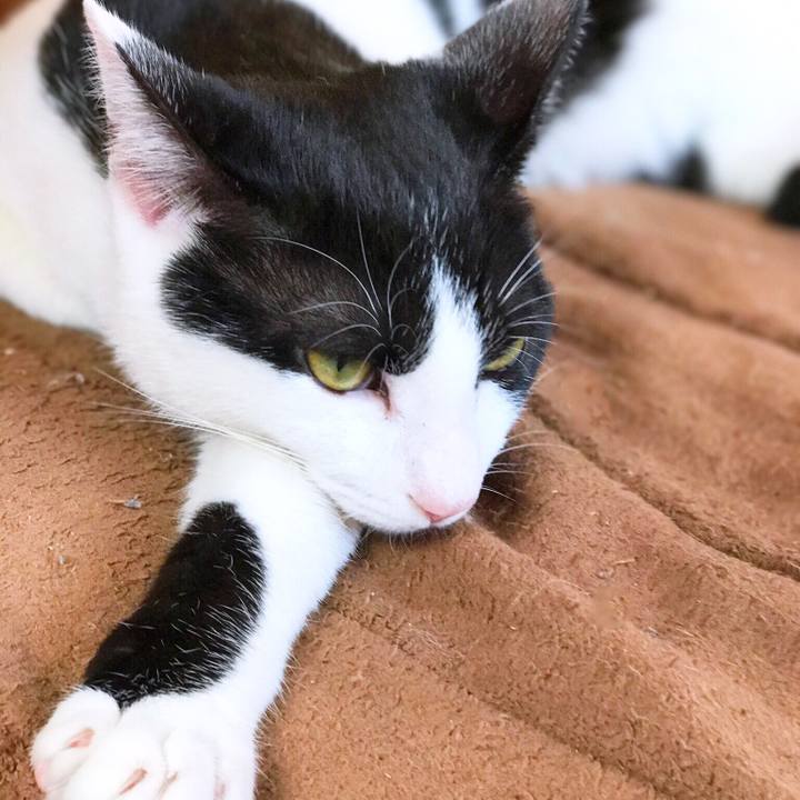 15a4e710 fbdd 47b6 843f 086bceb8af19