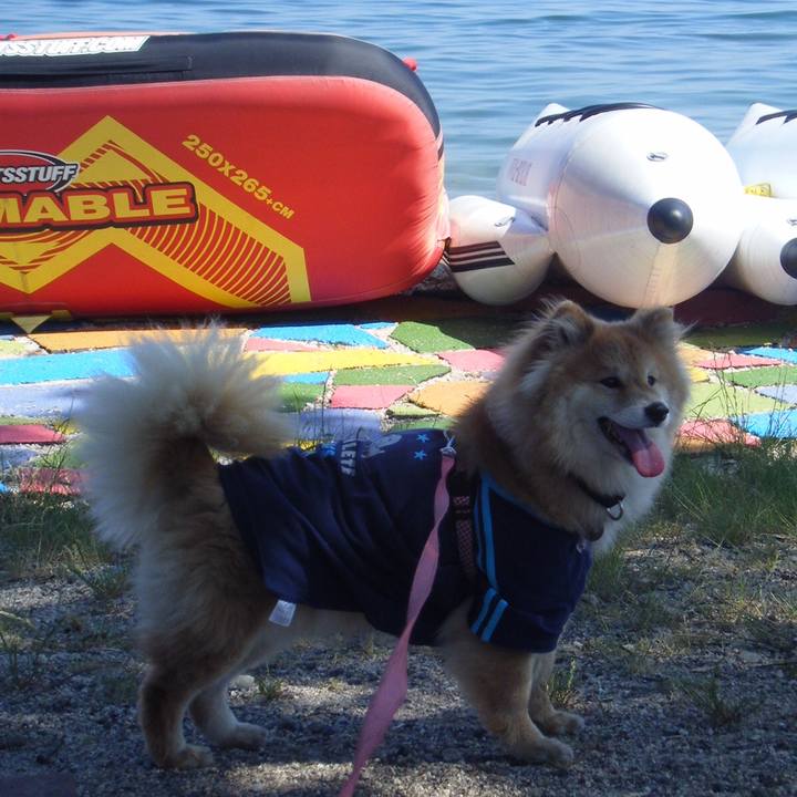 15a509b4 4666 4520 9d03 6461f75ae186