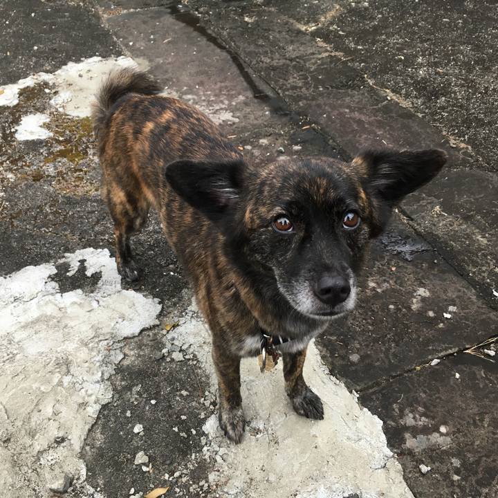 15a5e238 c059 4708 8dbe 6b22c1ee69f7