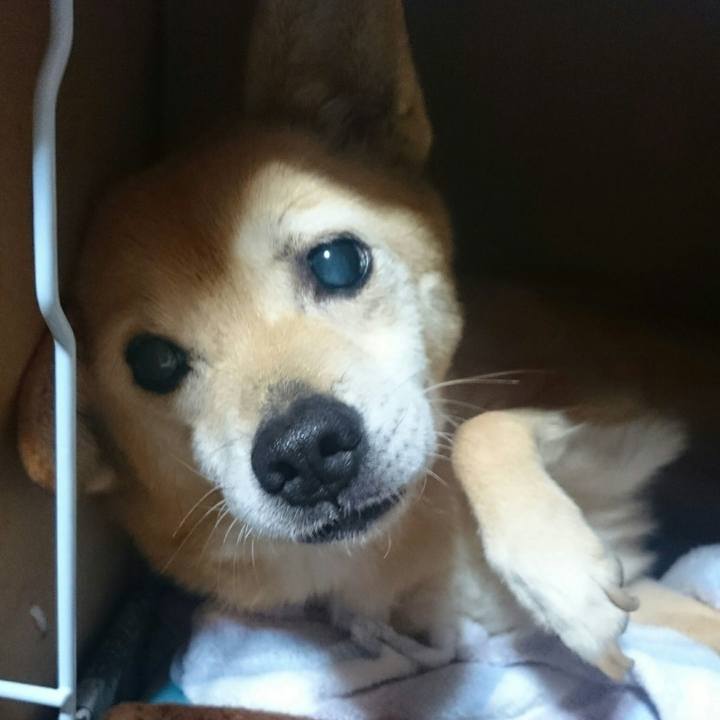 15a5f50a d577 4ab7 9e57 d4d42a553db2