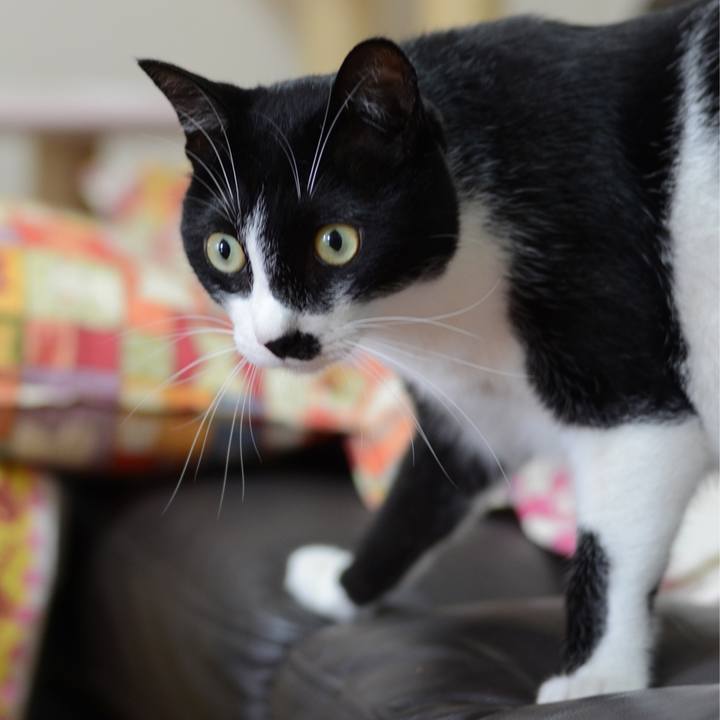 15a6435e 2173 4e5c aa63 63d10b7b0685