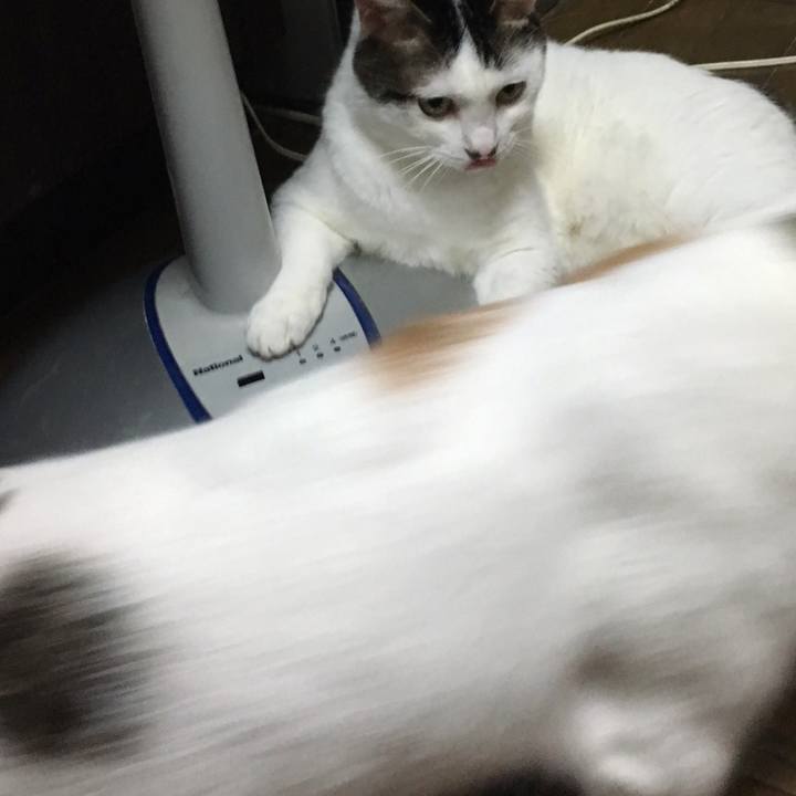 15a6cbda 905a 42ff 8754 6a9f102db2c2