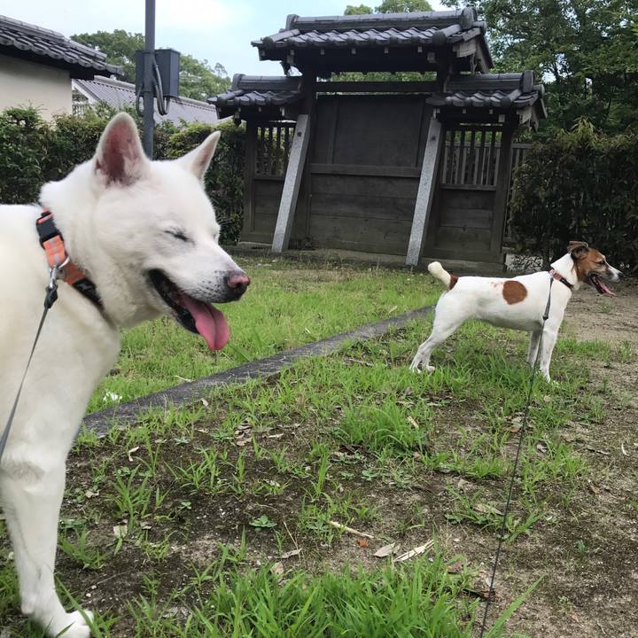 15a72a0d 2f9d 4112 9ec0 6fd6a24532ac