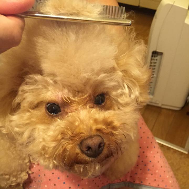 15a79d76 e2df 4021 940e 260fb57d1c00