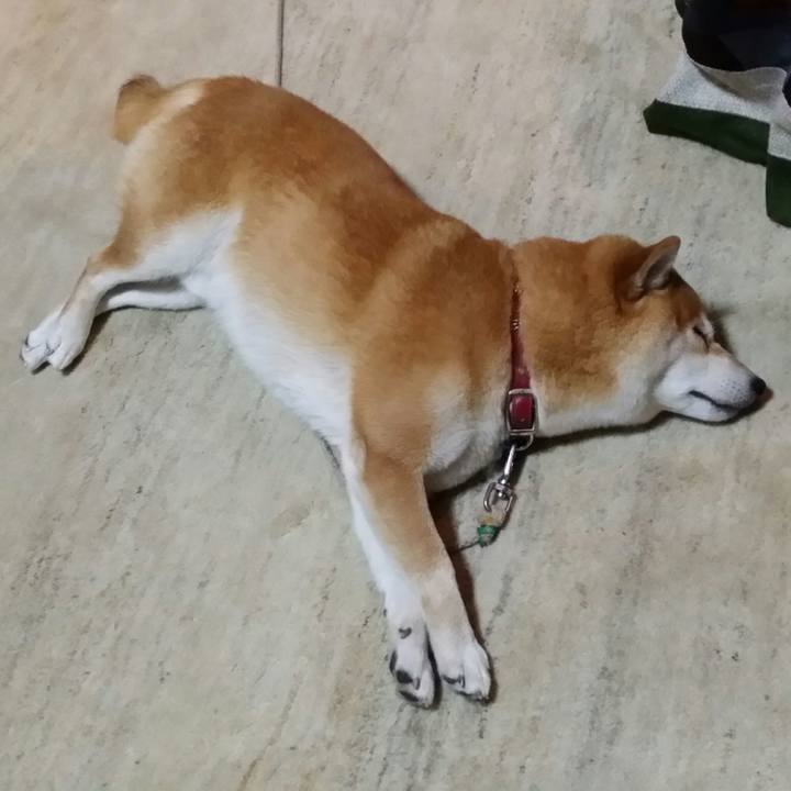 15a7d1ea 3da6 42ae bb86 6dc97bb33834