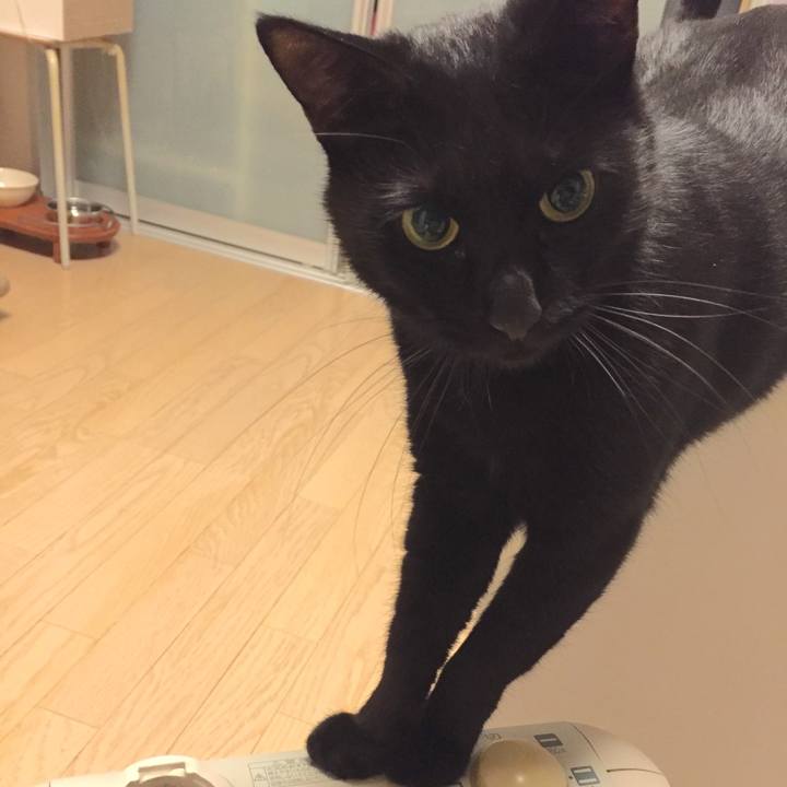 15a84e12 e129 4c73 8393 3db17dc5eb30