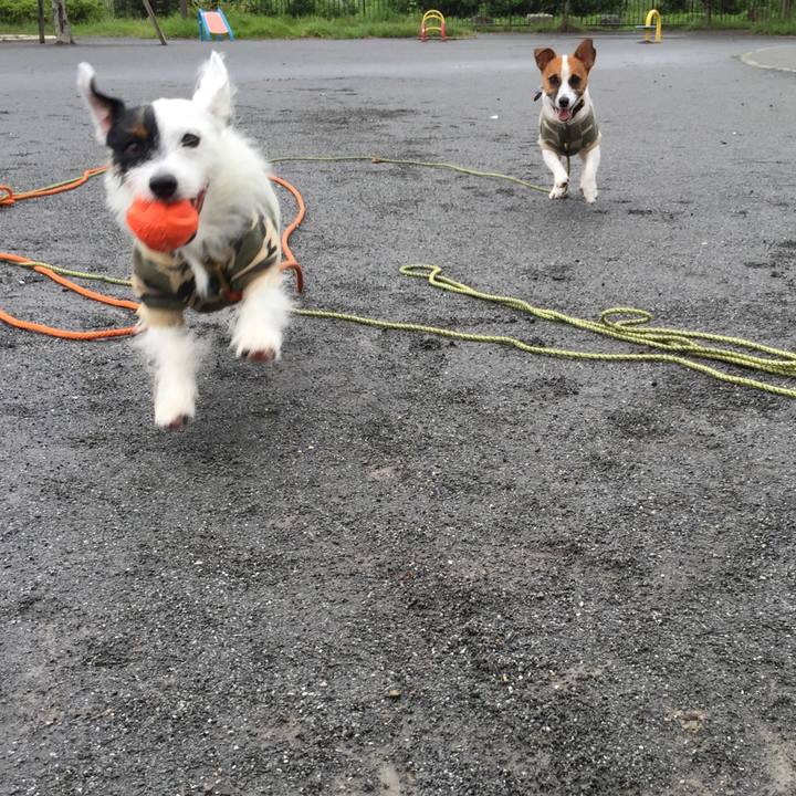 15a852d6 9099 4a9e 9e52 8012212d273d