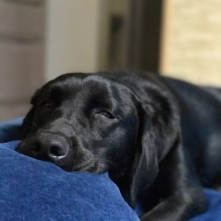 15a903ab 8995 45f4 90b5 3892f54a626a