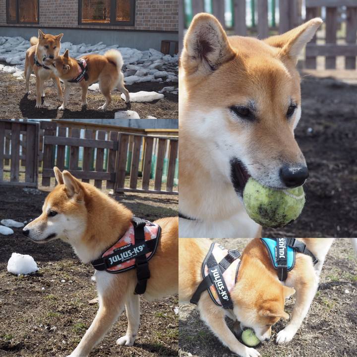 15a9fdfa 11c6 4234 811a 869450b5944a