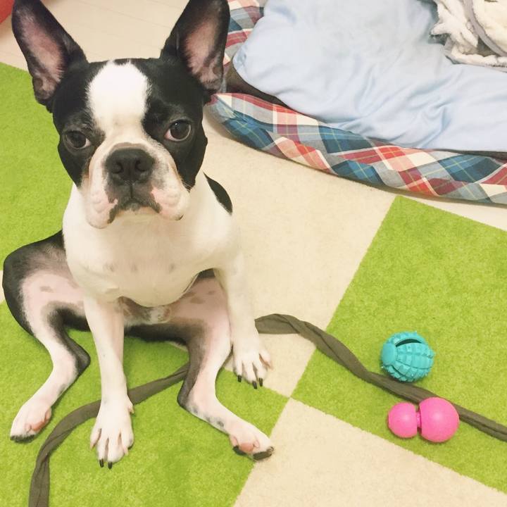 15aa5e5b b412 44d9 b2c0 bcae5ed8979f