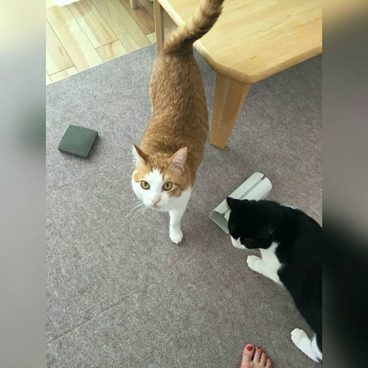 15aa6be6 7384 4927 bc5f f3f7afc005aa