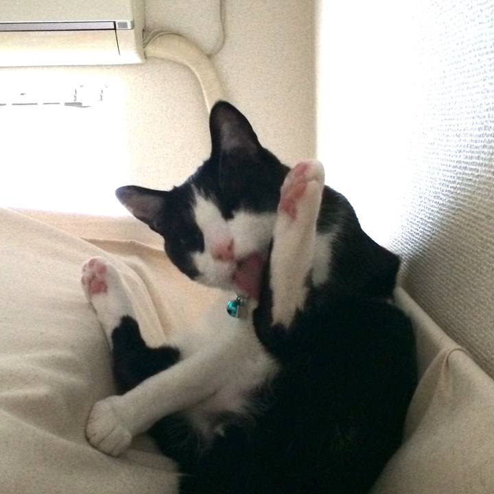 15aa77d6 6254 44eb b83d 622d040f205c