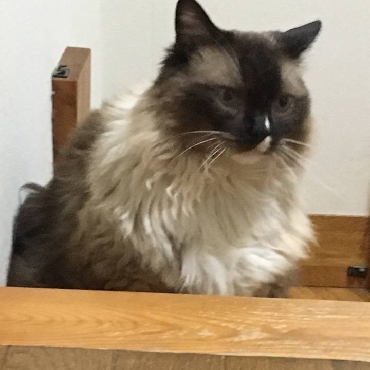 15aaaf99 c9f4 4128 9198 6a94049efe64