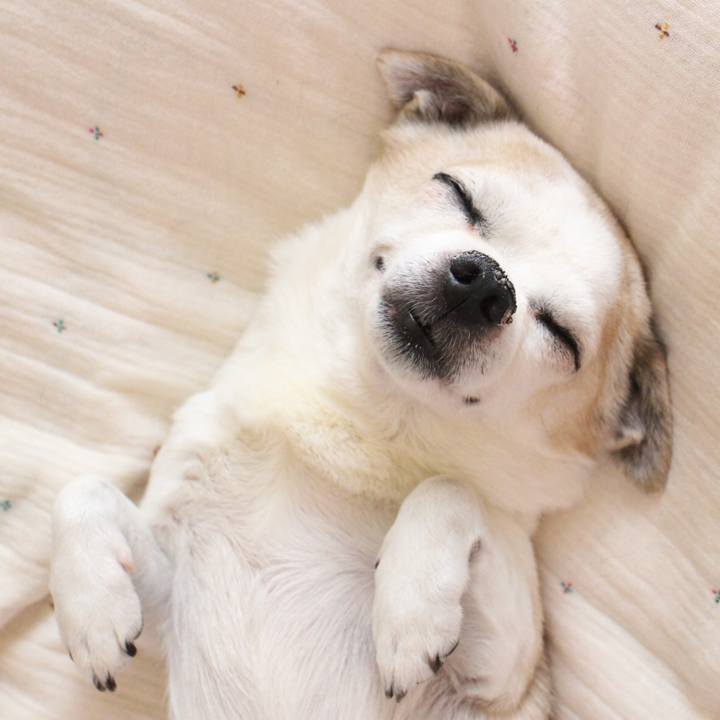 15aacfdd 8238 4b27 b1fa f15ab00f4a1d