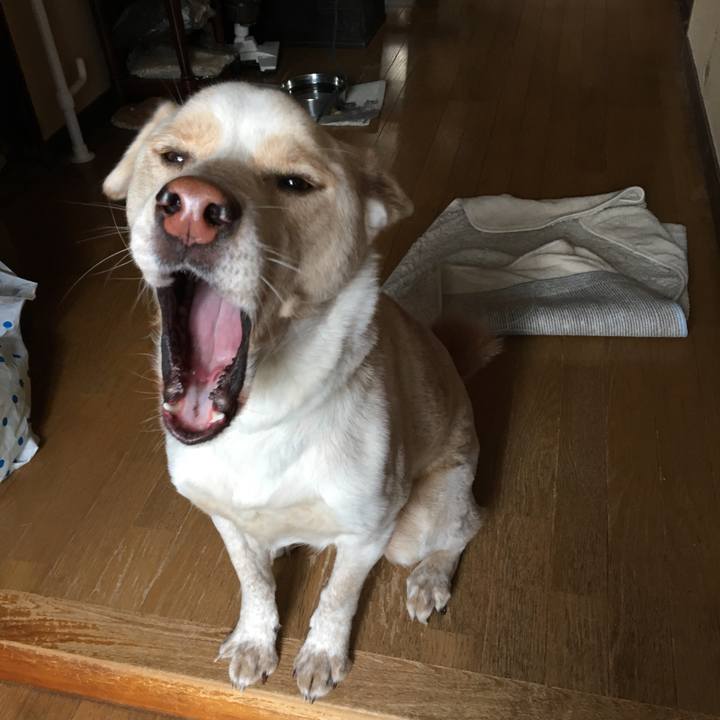 15ace3ca 6144 433c 84ae 1569379032c3