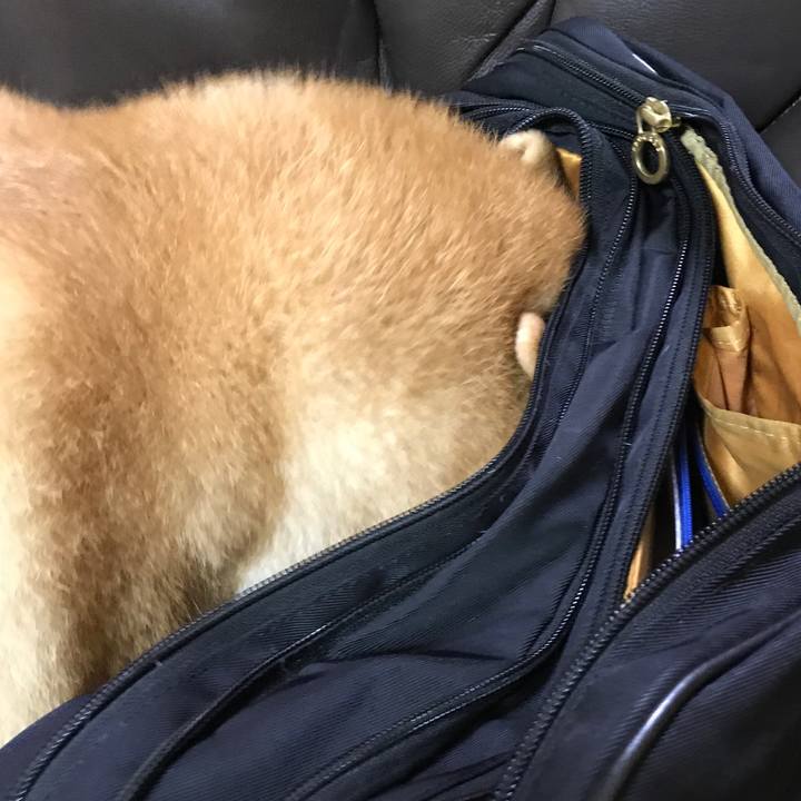 15ae7c38 8aad 48fe a2e1 5e1842869d3d