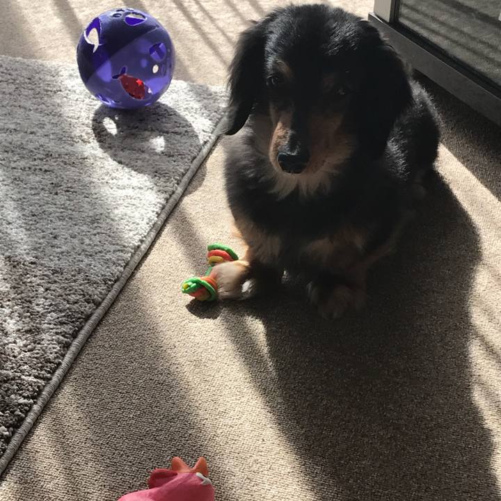 15ae7f07 f161 46f6 b8ae dad7a5572937