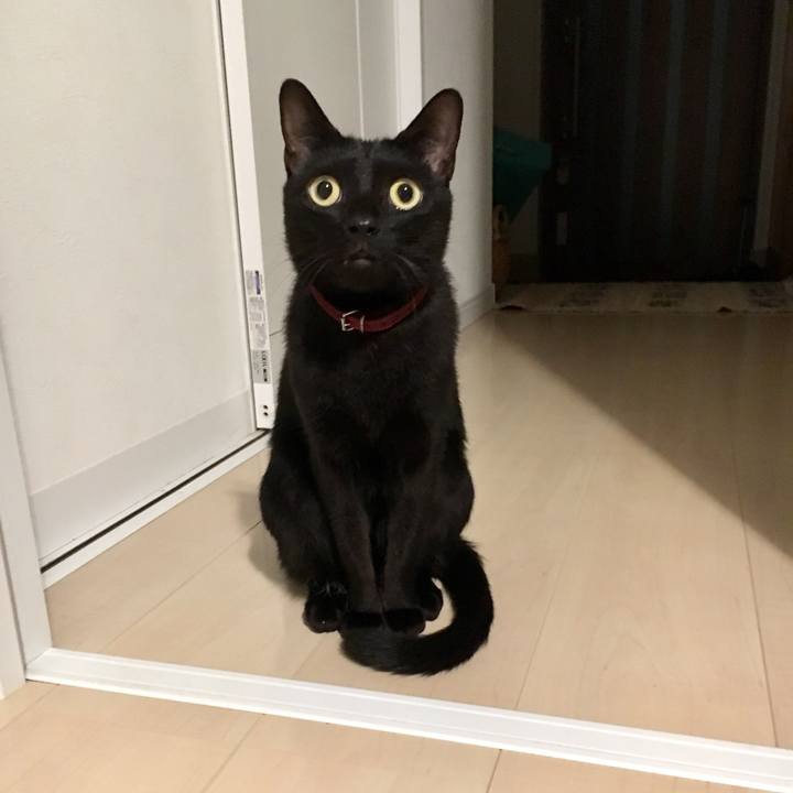 15aecbea ae75 4ec3 bc21 81eecbe5f41b