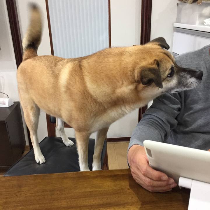 15aecc8a 8a51 48cf a0e1 1890a359fe2d