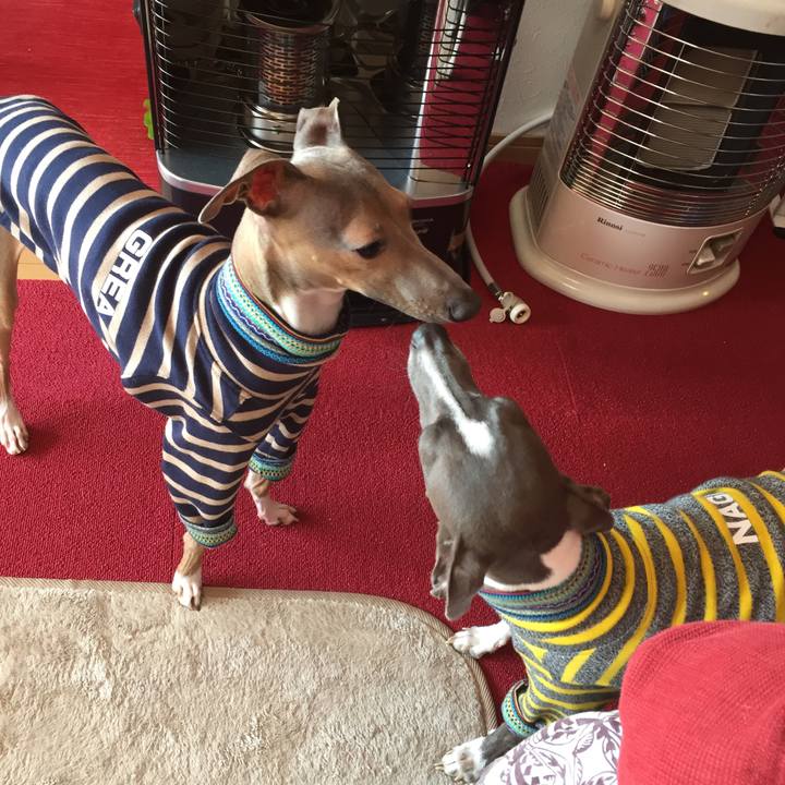 15af1387 8225 4862 9773 4ccae6036a0b