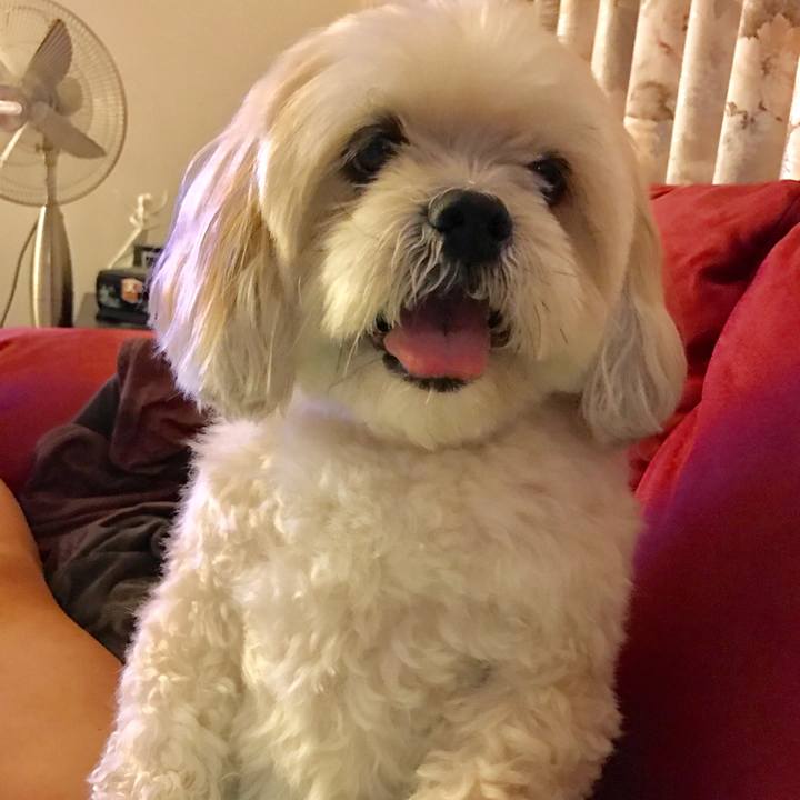 15af1f83 6fb4 4495 b8e8 a209144c3546