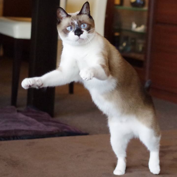 15afa6d7 bced 42cd 9e37 4b97dc2f9e03